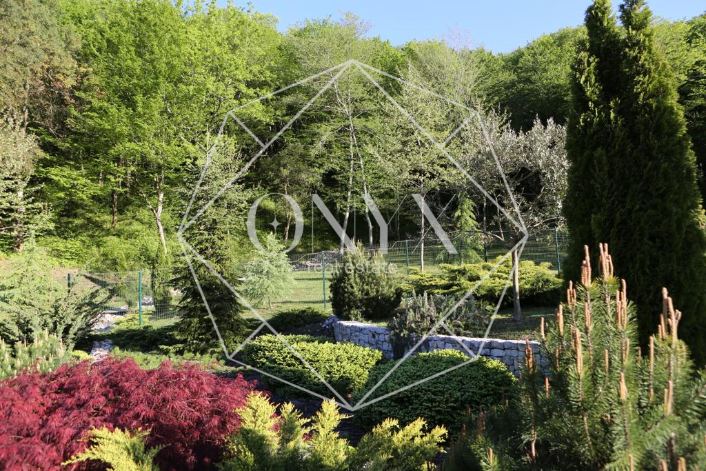 Изображение 16