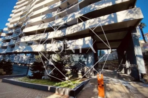 Изображение 12