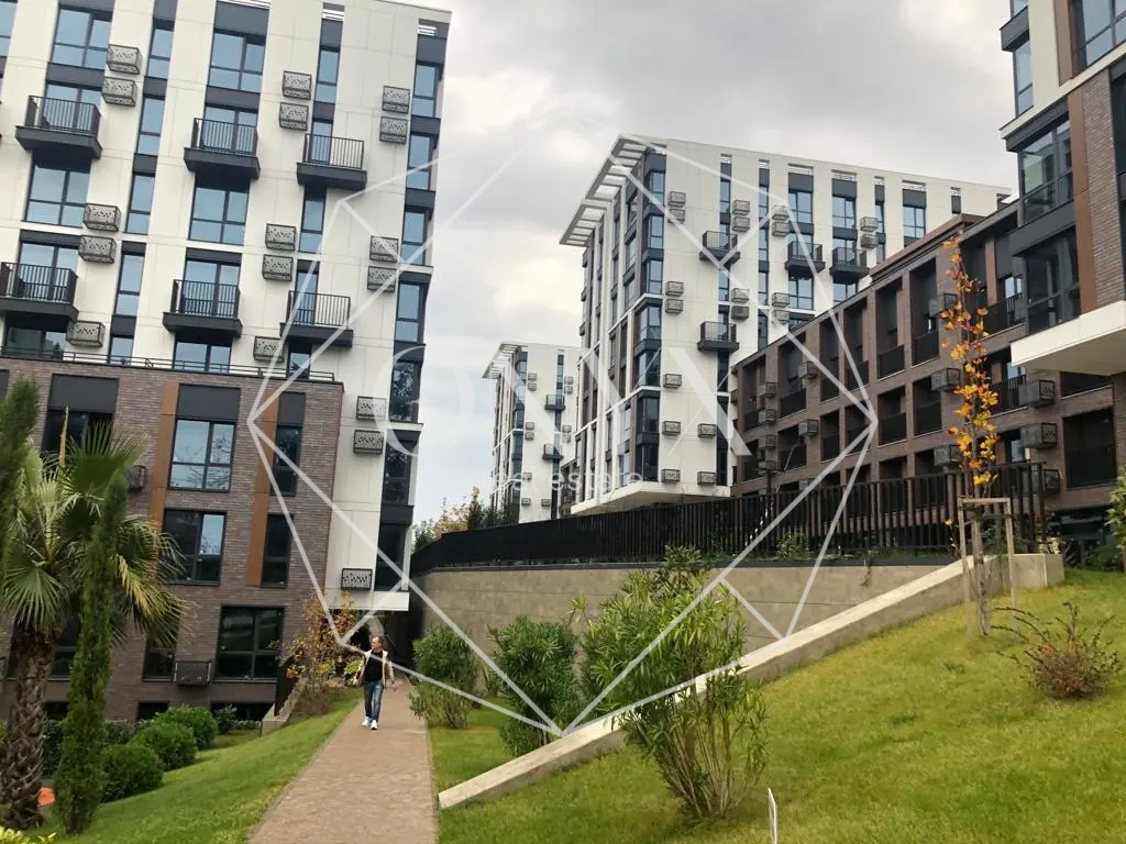 Изображение 8