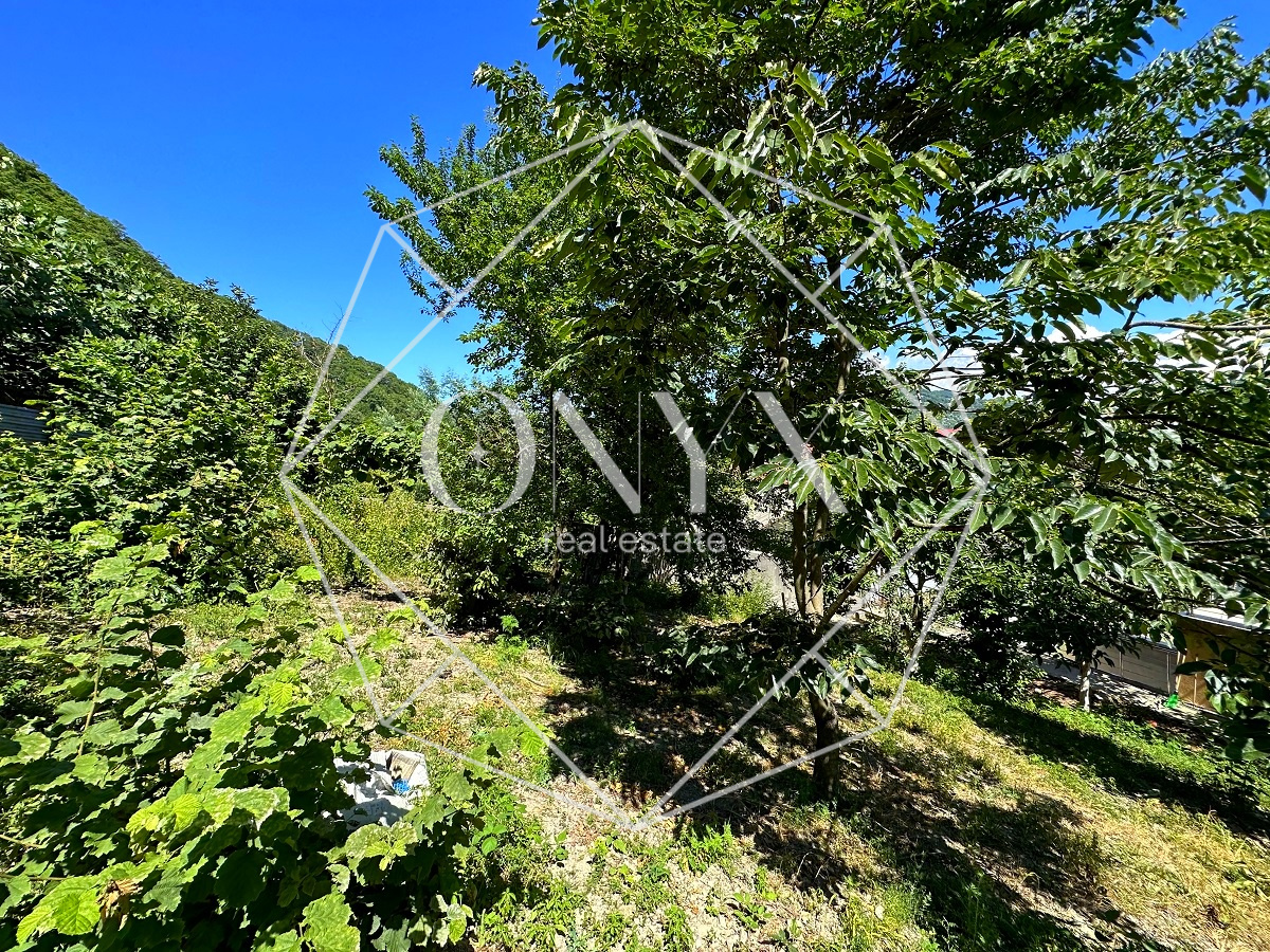 Изображение 33