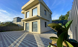 Шикарный дом у леса