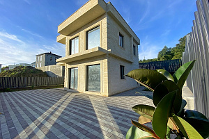 Шикарный дом у леса