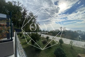 Изображение 12