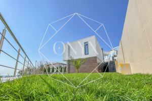 Изображение 13