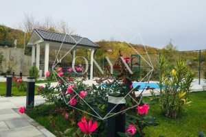 Изображение 11