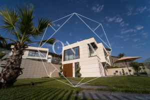 Изображение 12