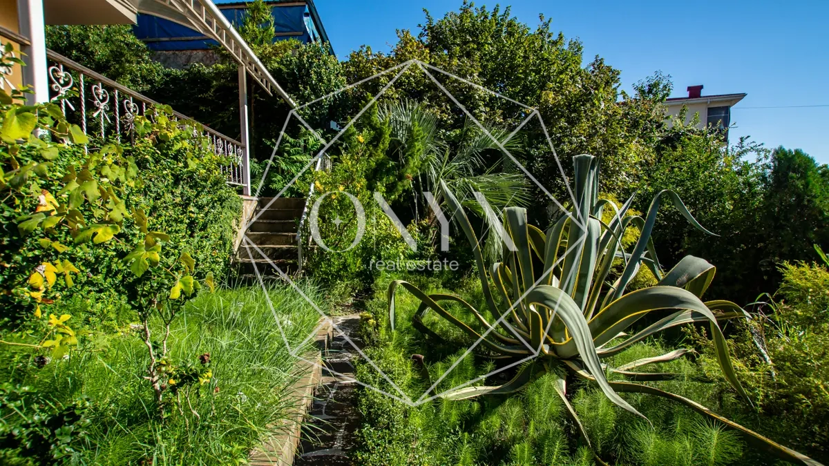 Изображение 16