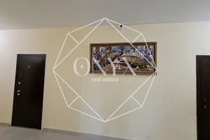 Изображение 11