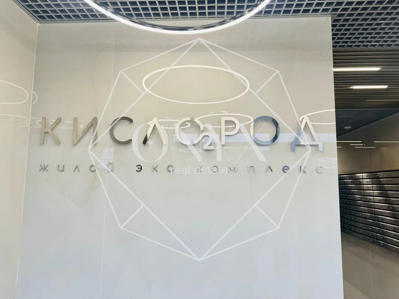 Изображение 13