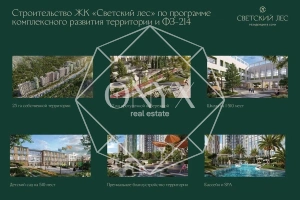 Изображение 11