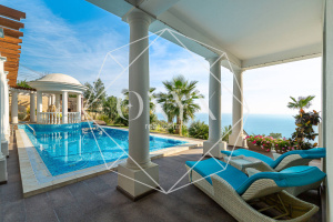 Изображение 12