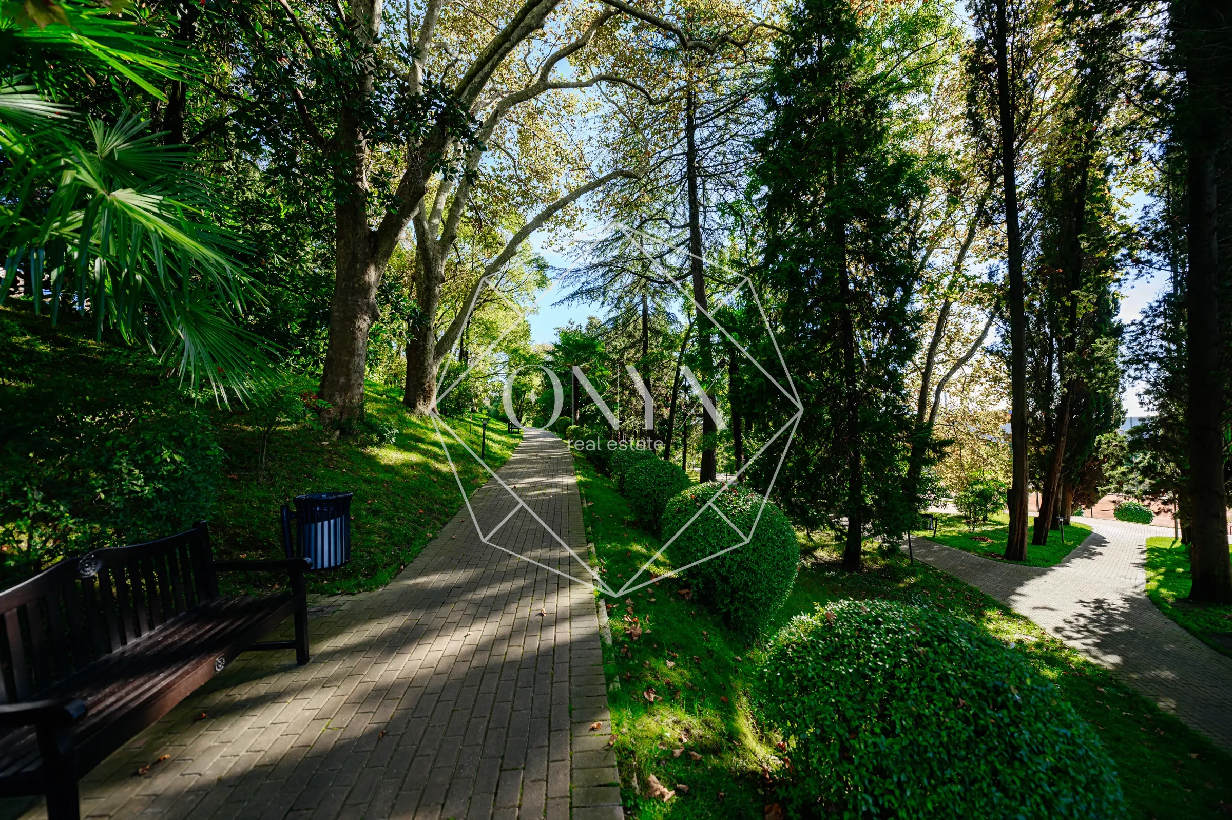 Изображение 21