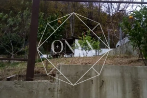 Изображение 8