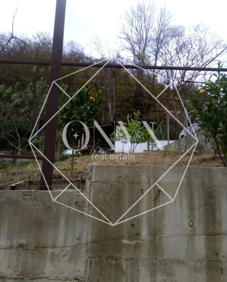 Изображение 8