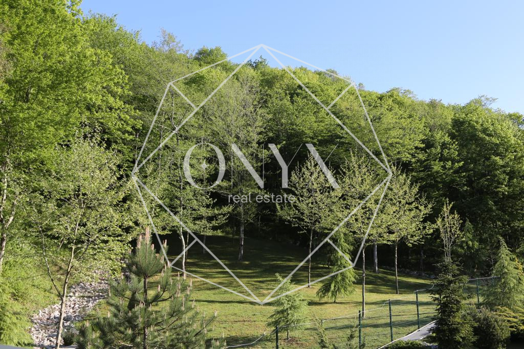 Изображение 18