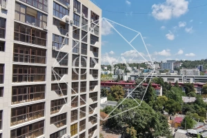 Изображение 11