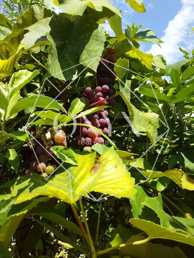 Изображение 11