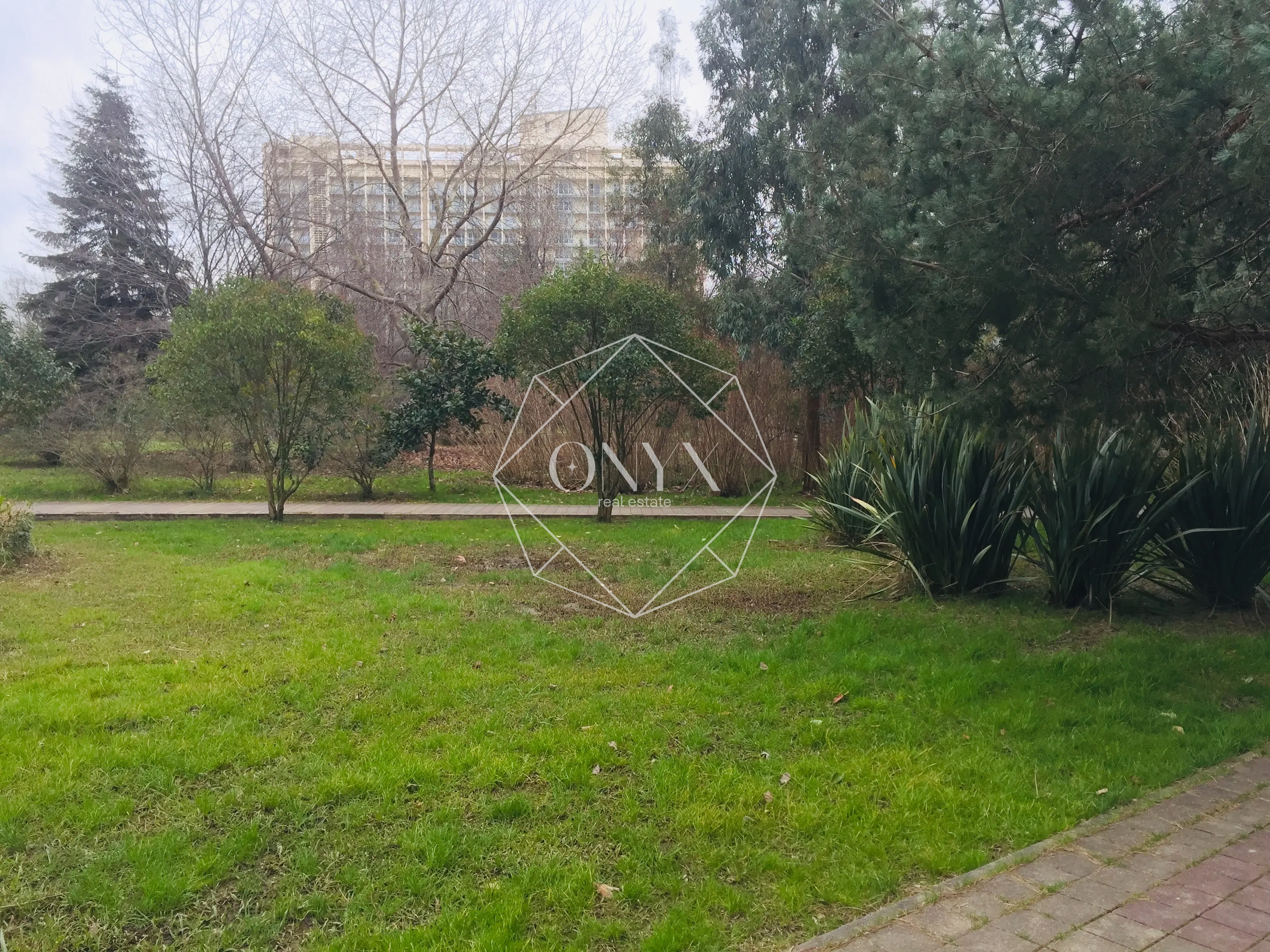 Изображение 13