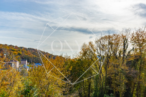 Изображение 14