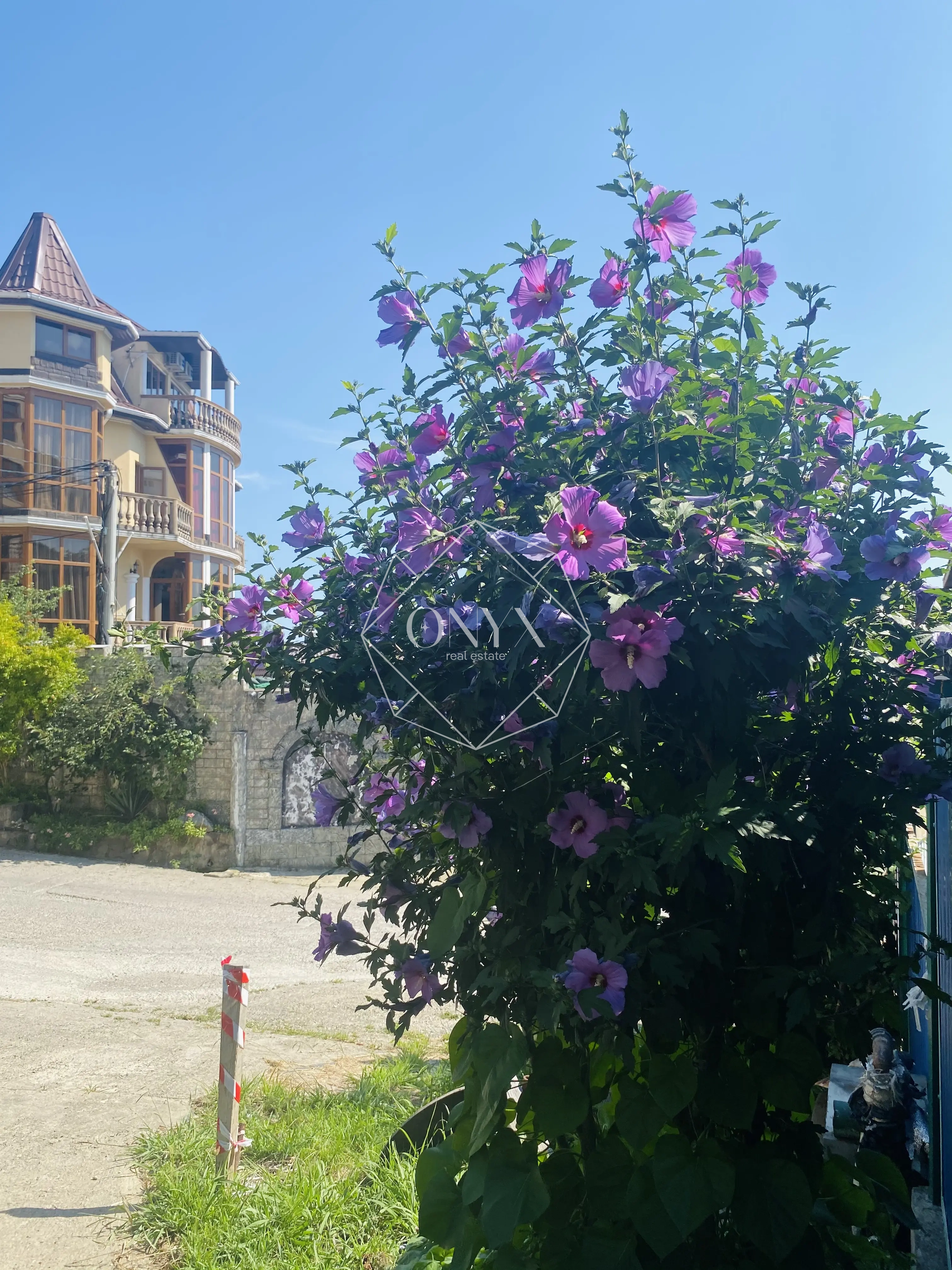 Изображение 9