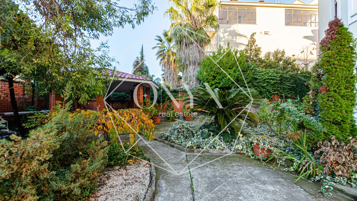 Изображение 11