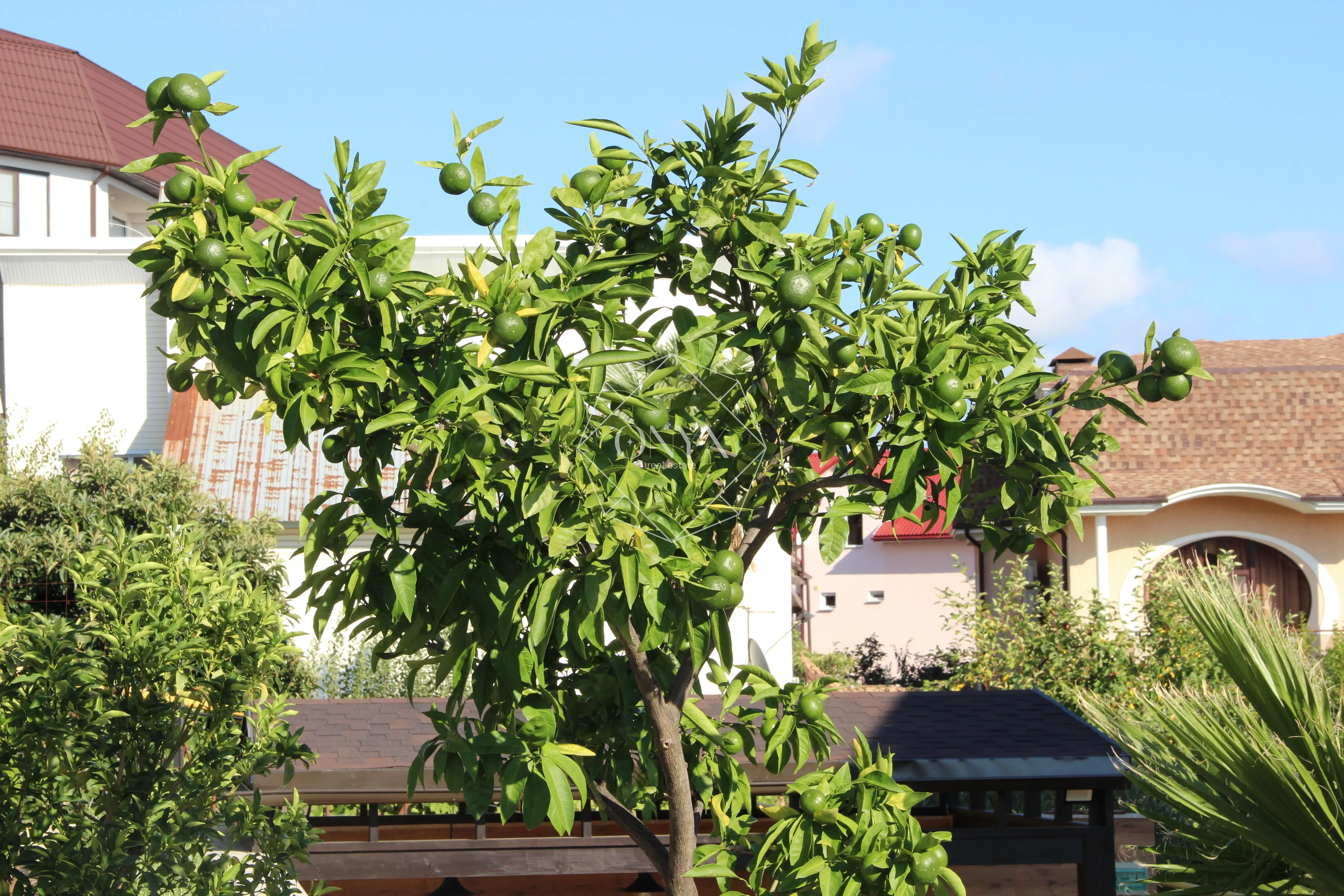 Изображение 8