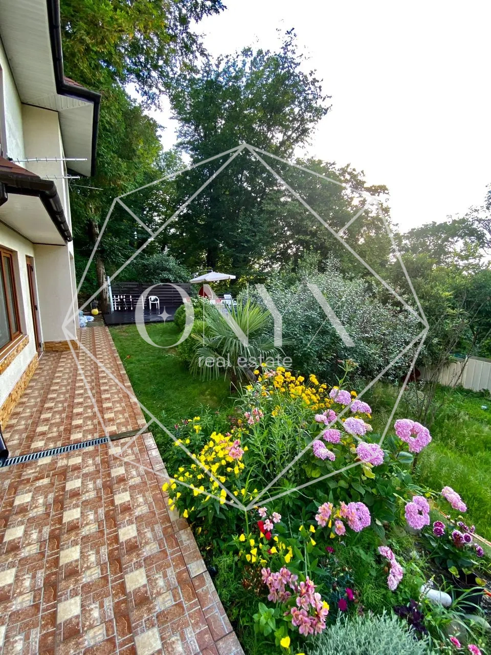 Изображение 12