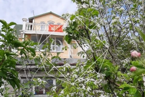 Изображение 12