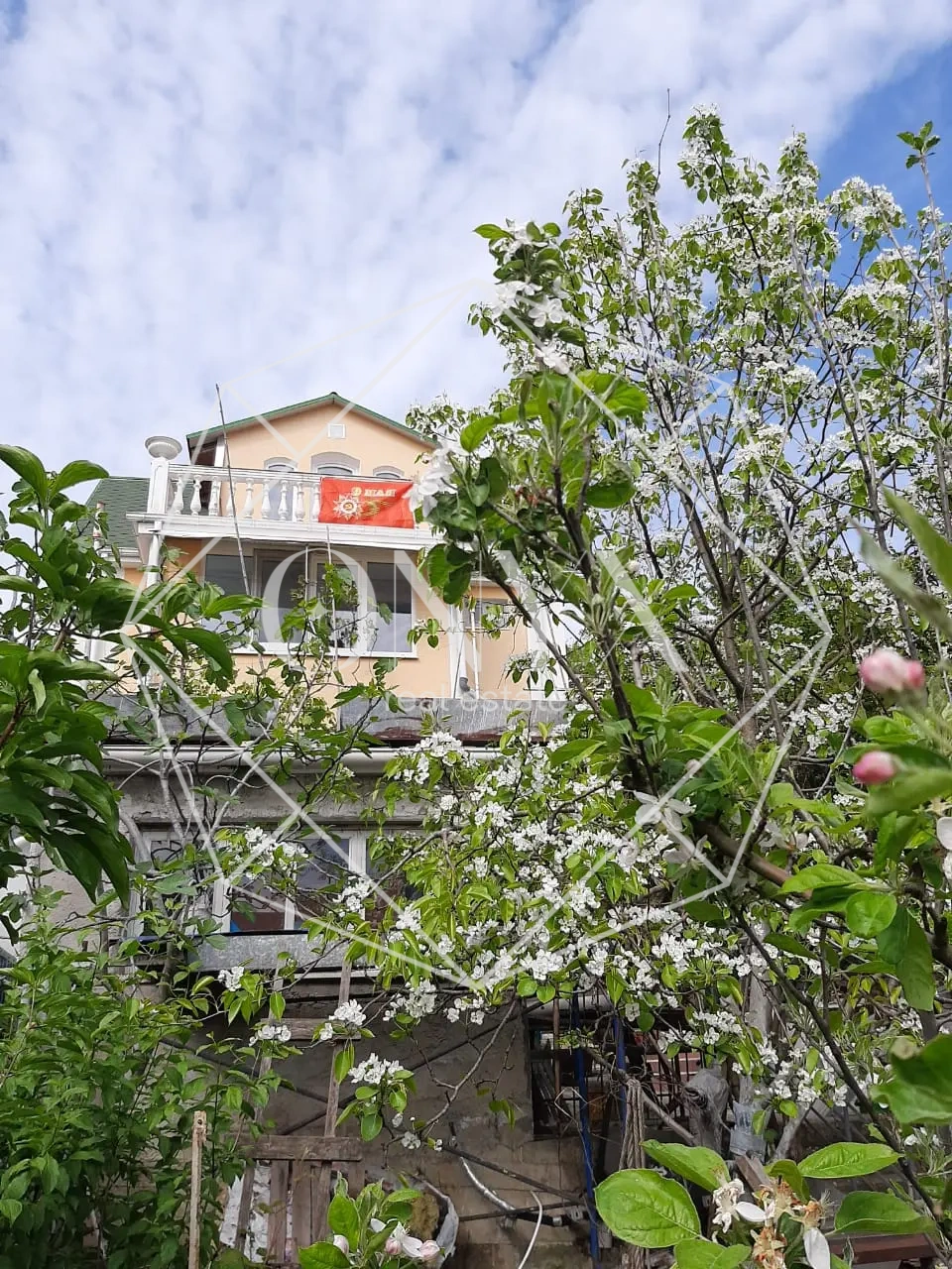 Изображение 12