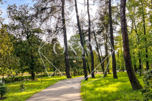 Изображение 12