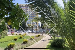 Изображение 12