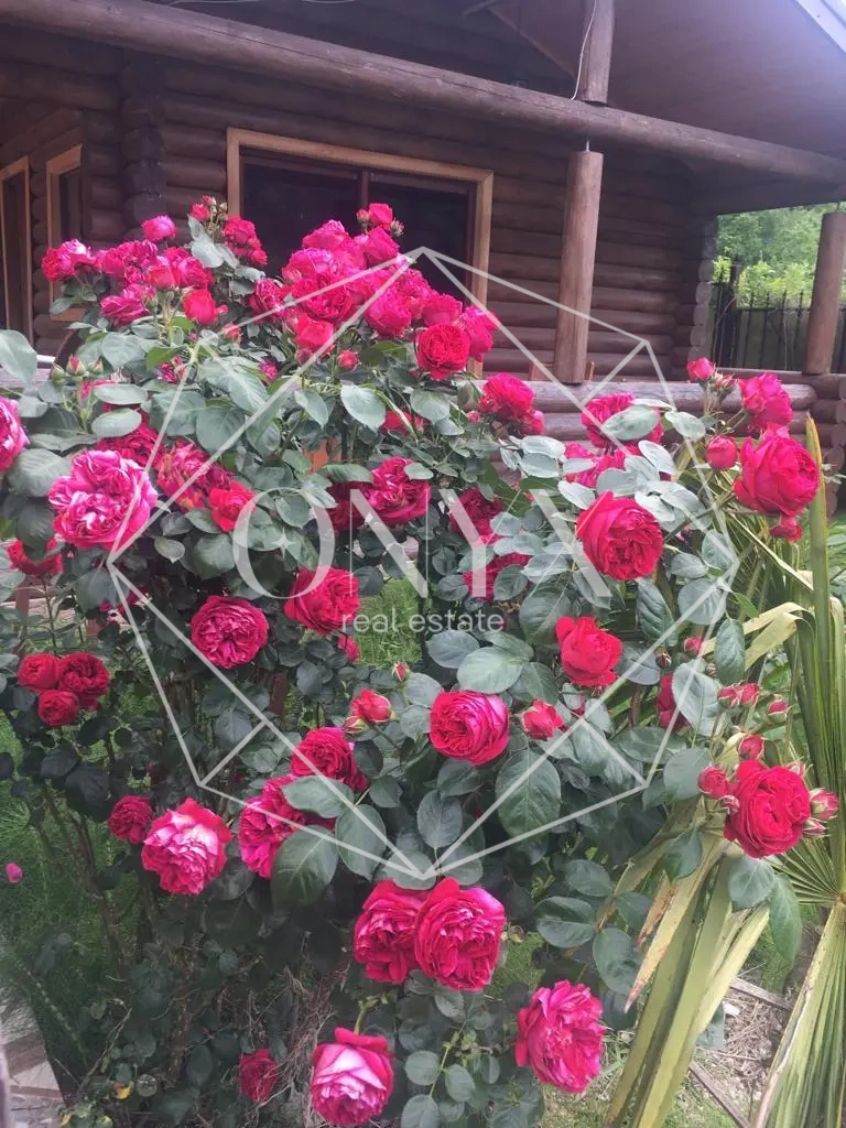 Изображение 22