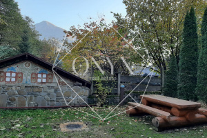 Изображение 22