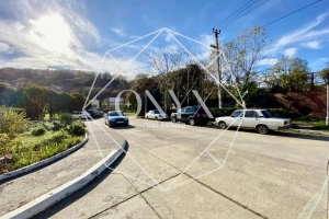 Изображение 13