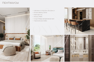 Изображение 17