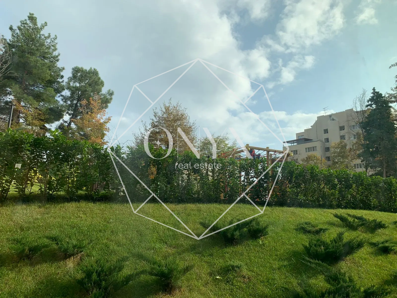 Изображение 20