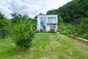 Изображение 12