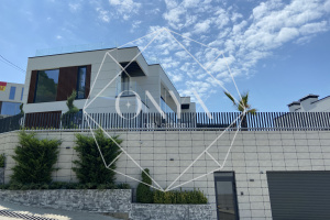 Изображение 12