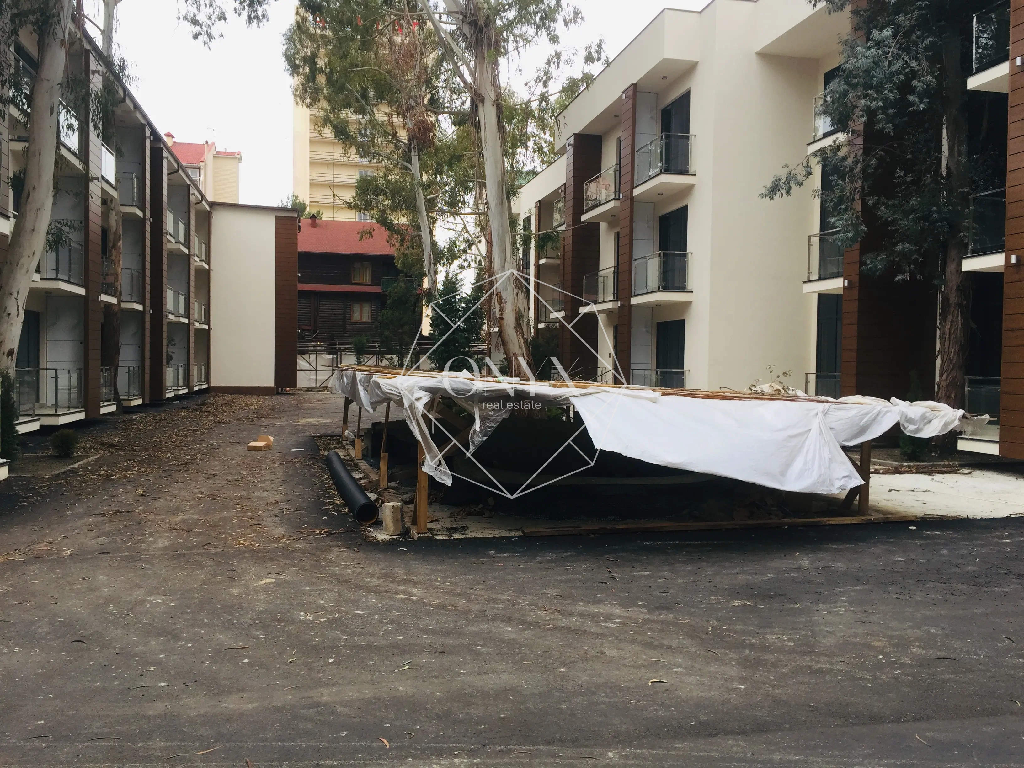 Изображение 11