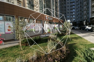 Изображение 11