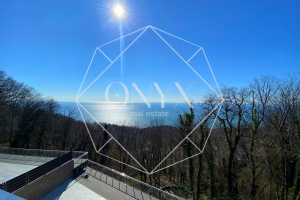 Изображение 12