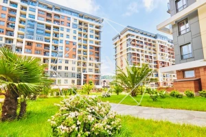 Изображение 18