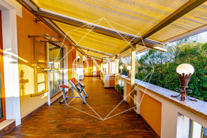 Изображение 7