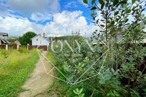 Изображение 22