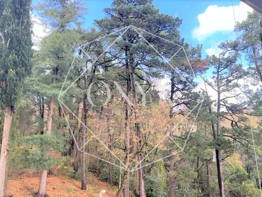 Изображение 19