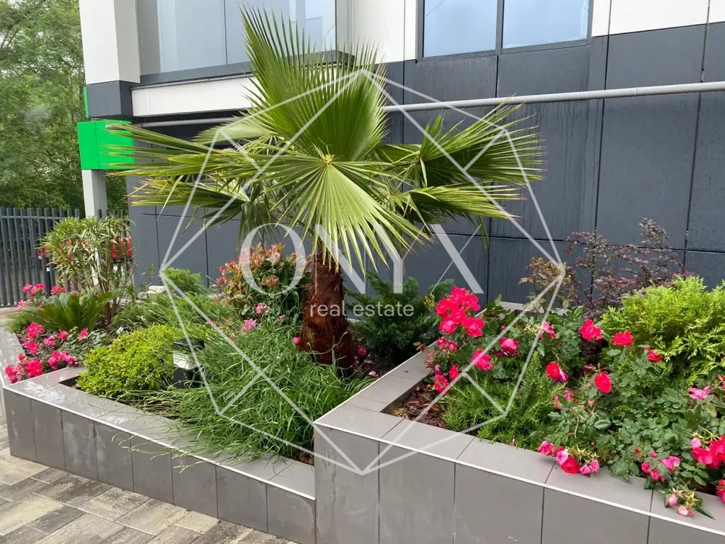 Изображение 12