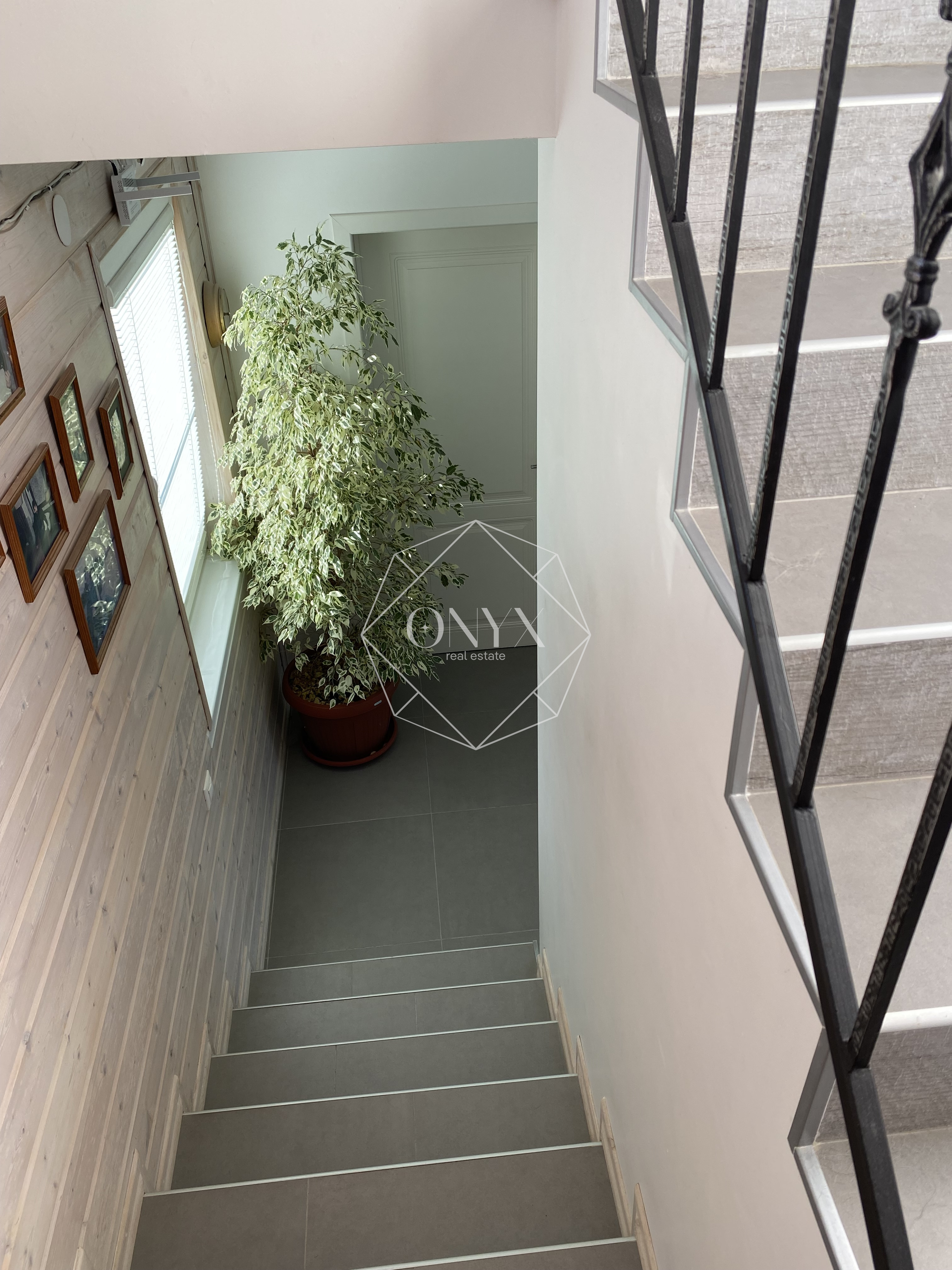 Изображение 12