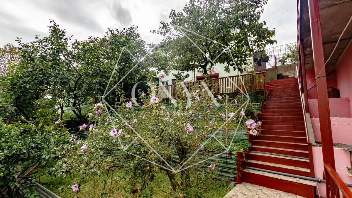 Изображение 12