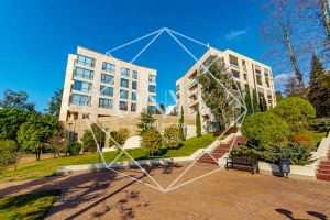 Изображение 24