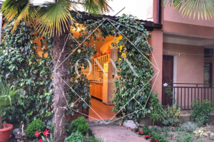 Изображение 21